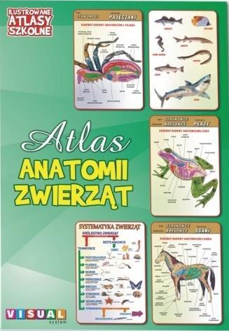 ILUSTROWANY ATLAS SZKOLNY. ATLAS ANATOMII ZWIERZĄT PRACA ZBIOROWA