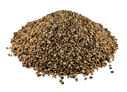 KONOPIE ZIARNO WĘDKARSKIE ZANĘTA 1KG