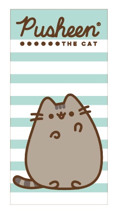 Ręcznik kąpielowy kot kotek PUSHEEN arbuz 70X140