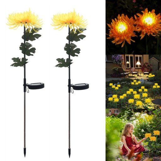 2x solarna chryzantema światło LED lampa kwiatowa
