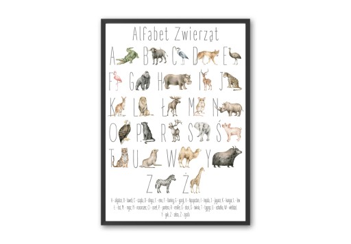 Plakat Dla Dzieci Alfabet Zwierzęta 50x70 cm