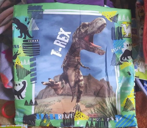 Poszewka T-REX 40x40