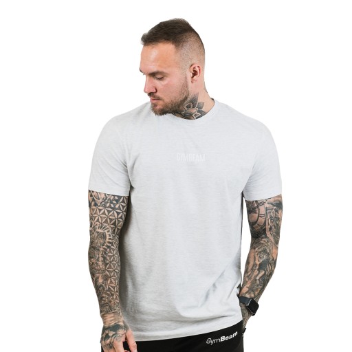 Koszulka męska treningowa FIT Szara - GymBeam L