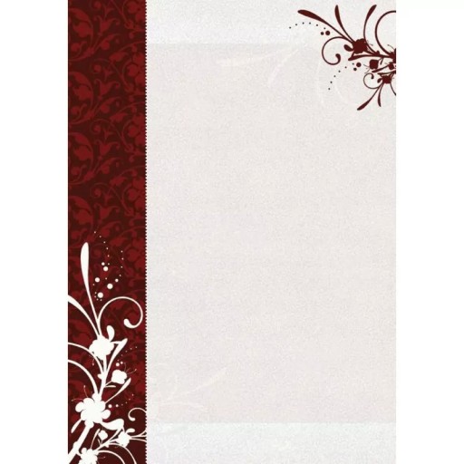 DYPLOM FINEZJA GALERIA PAPIERU A4 25SZT 170g Argo