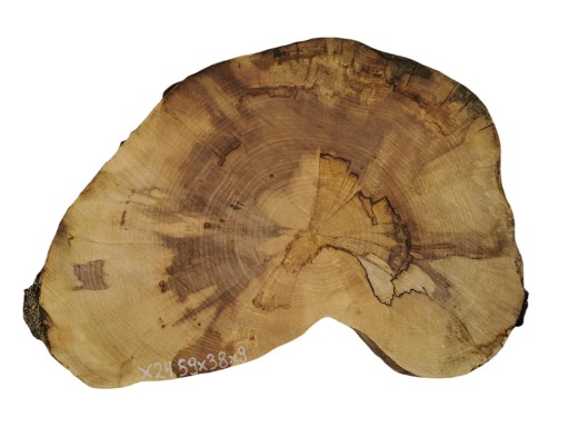 Plaster Jaworowy 59x38x9cm Duży Wybór Drewna Jawor