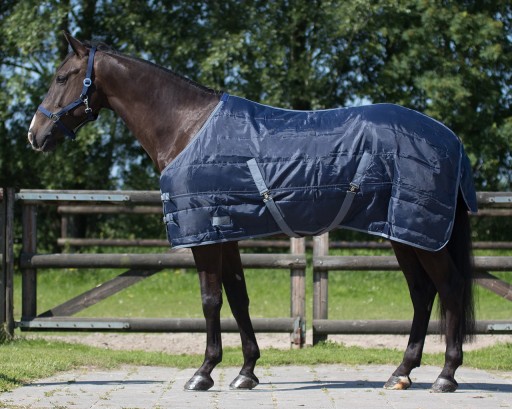 QHP Derka stajenna 300g START Blue [R: 145]