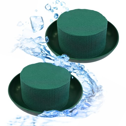 2x CIOTOLA MINI MOKRA GĄBKA PODSTAWKA ZIELONA