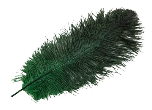 PIÓRO STRUSIE do wazonów CIEMNOZIELONE 45cm