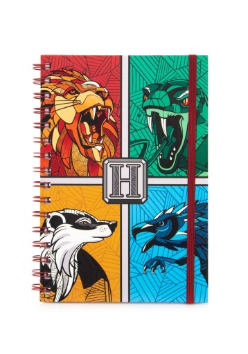 Notes A5 w linie Harry Potter Stand Together 80k