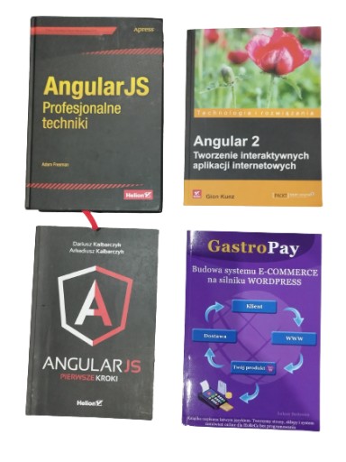 Zestaw Front-end Developera: AngularJS, WordPress