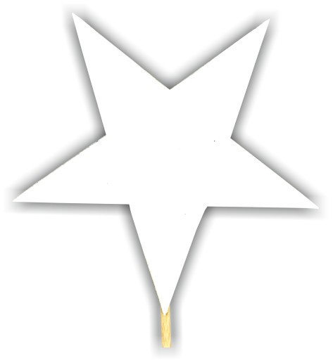 PIK TOPPER GWIAZDA DO CIASTA ŚWIĘTA DEKOR 1SZT 8CM