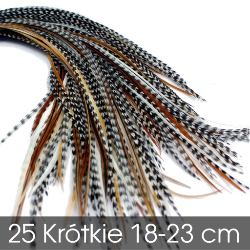 25 Piórka Pióra do Włosów 18-23cm Mixed Natural