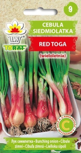 CEBULA SIEDMIOLATKA RED TOGA NASIONA TORAF