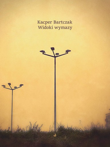 Widoki wymazy Kacper Bartczak
