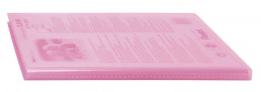 ALBUM OFERTOWY A4/20 PENTEL CLEAR RÓŻOWE