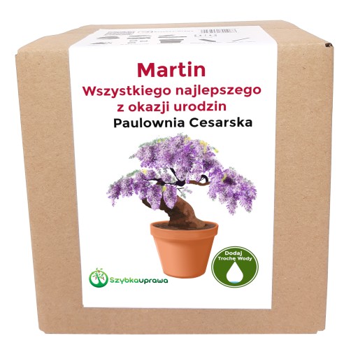 Zestaw do uprawy paulownia urodzin Martin