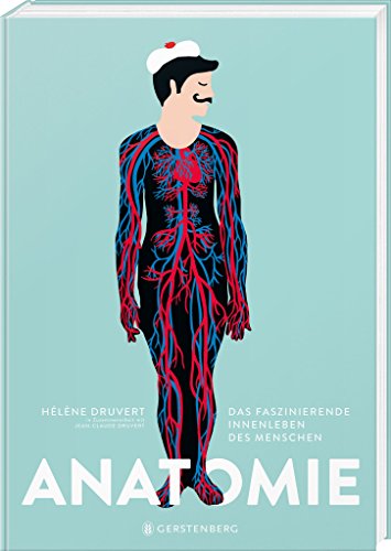 Anatomie HÉL?NE DRUVERT