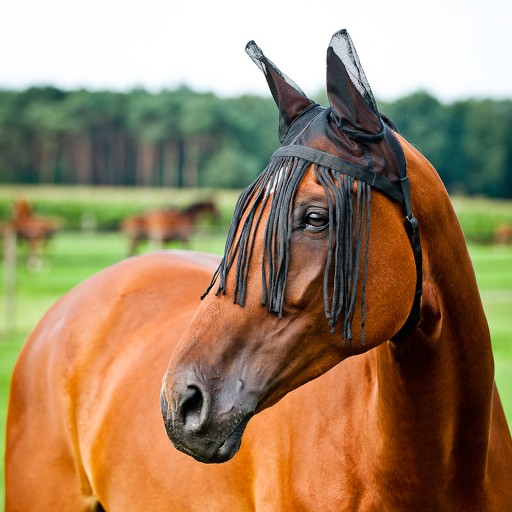 Frędzle z siatką na uszy przeciw owadom Horze PONY