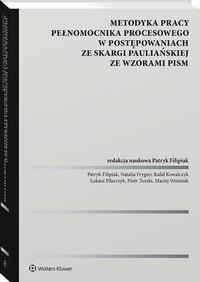 Metodyka pracy pełnomocnika procesowego w postępow