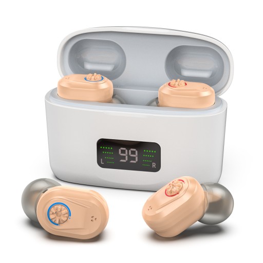Hearing aids with noise reduction function Small hearing aids