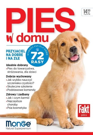 PIES W DOMU PRACA ZBIOROWA