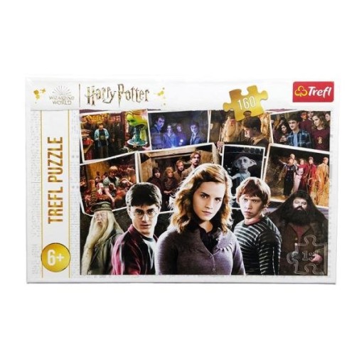 15418 TREFL PUZZLE HARRY POTTER I PRZYJACIELE 160