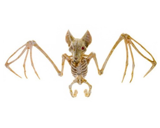 SZKIELET NIETOPERZA NIETOPERZ KOŚCI DEKORACJA WISZĄCA OZDOBA HALLOWEEN