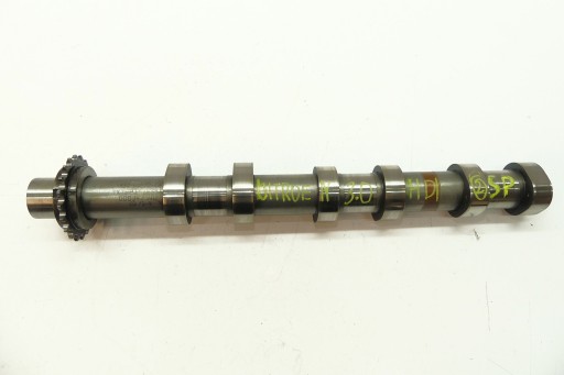 CITROEN C5 III C6 3.0 HDI V6 WAŁEK ROZRZĄDU SS.P