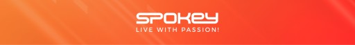 Tarcza do rzutek Spokey NARVI BASIC