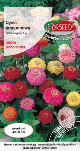 Cynia pomponowa mieszanka 1g
