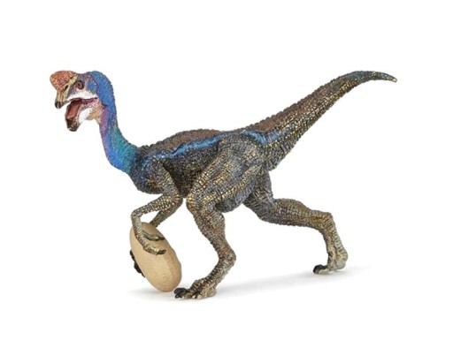 OVIRAPTOR NIEBIESKI, PAPO