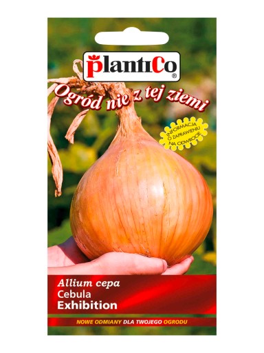 PlantiCo Cebula Exhibition wczesna sałatkowa duża 1g