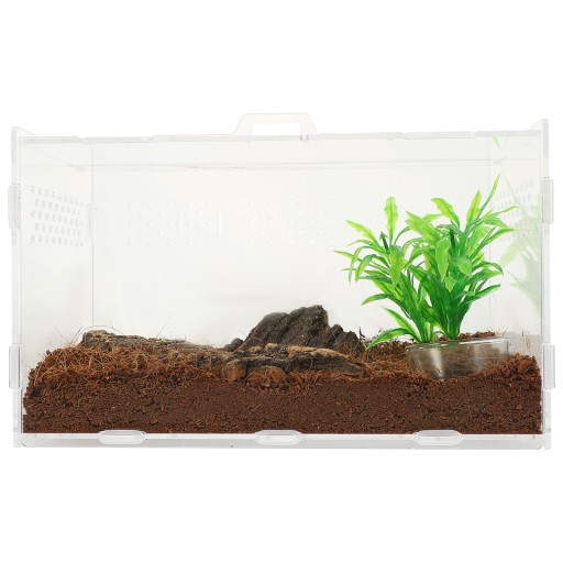 Przezroczyste Terrarium Scorpion Siedlisko Akrylow