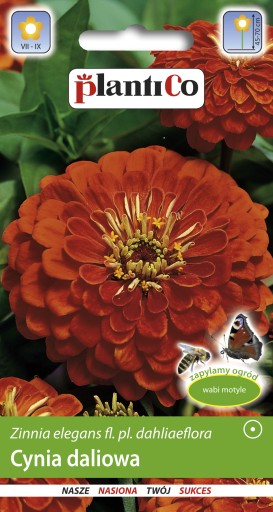 PlantiCo Cynia wytworna Daliowa cynobrowa 1g