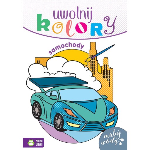 991116 ZS UWOLNIJ KOLORY SAMOCHODY KOLOROWANKA