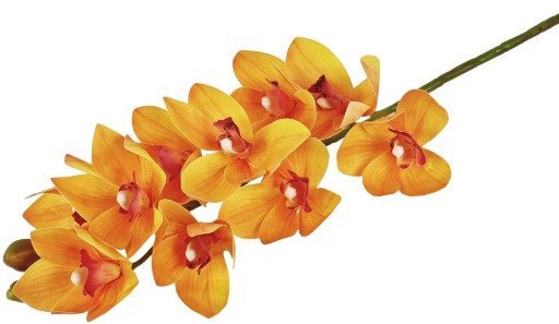 STORCZYK GUMOWY ORCHIDEA 10 KWIATÓW 75cm