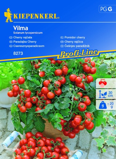 Pomidor Cherry Vilma nasiona – Kiepenkerl