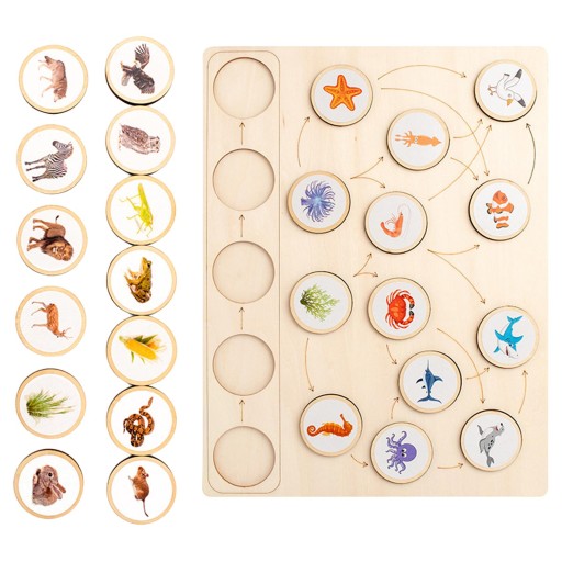 Wooden Montessori Toys Life Cycle Tray Education School Project Sqaure