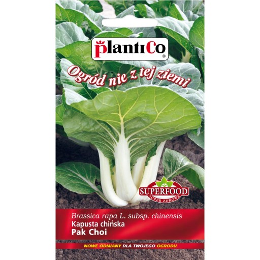 PlantiCo Kapusta chińska Pak Choi 0,1g