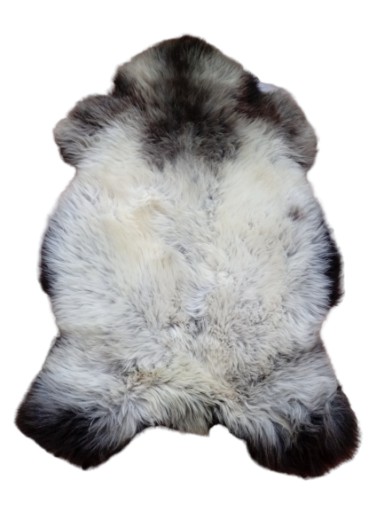 Skóry Owcze w Kolorach Naturalnych 121-140cmXXL