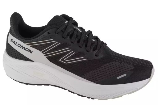 Męskie Buty do biegania Salomon Aero Blaze 472089 r. 44