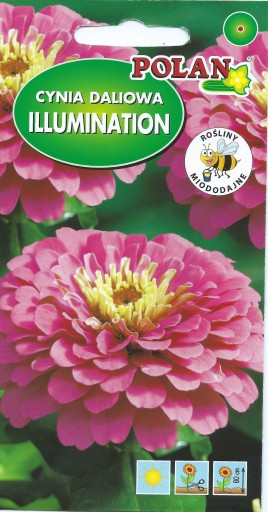 CYNIA daliowa ILLUMINATION 1g. Nasiona kwiatów polan