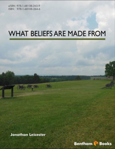 What Beliefs Are Made From - ebook