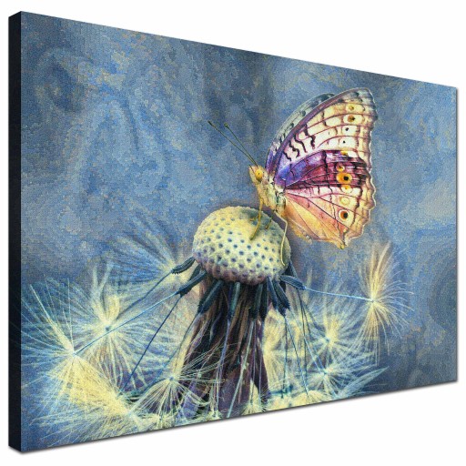 NOWOCZESNY OBRAZ KOLOROWY MOTYL do SYPIALNI 120X80
