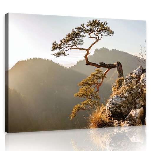 OBRAZ NA PŁÓTNIE CANVAS 100x75 GÓRY SOSNA PIENINY