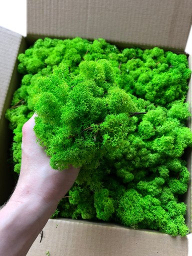 Mech CHROBOTEK reniferowy GREEN MIĘKKI 100g