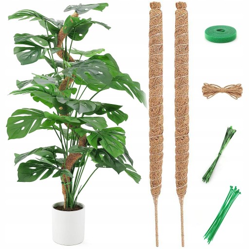 Podpórki do roślin 64 cm 2 szt.
