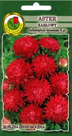 PNOS Aster karłowy czerwony 0,8g