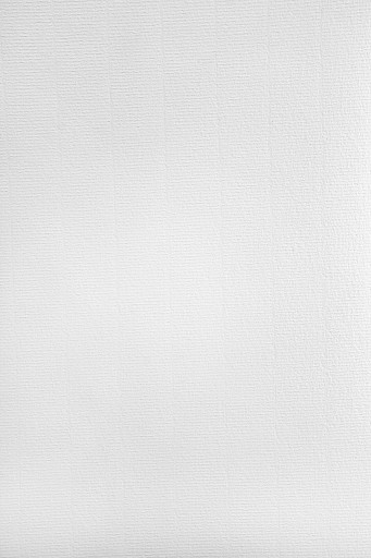 Papier żeberkowany Aster Laid 120g biały 50A4