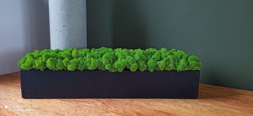 Kostka betonowa z mchem 60cm